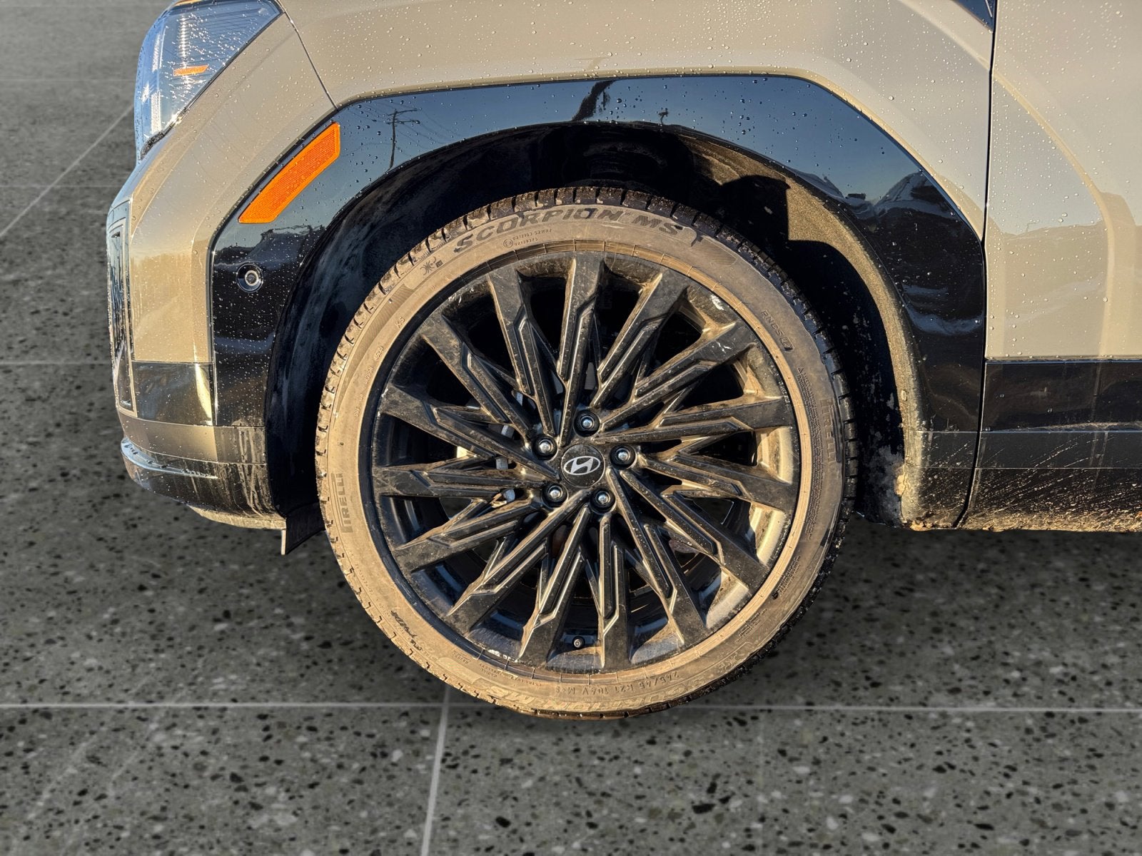 2025 Hyundai SANTA FE Calligraphy