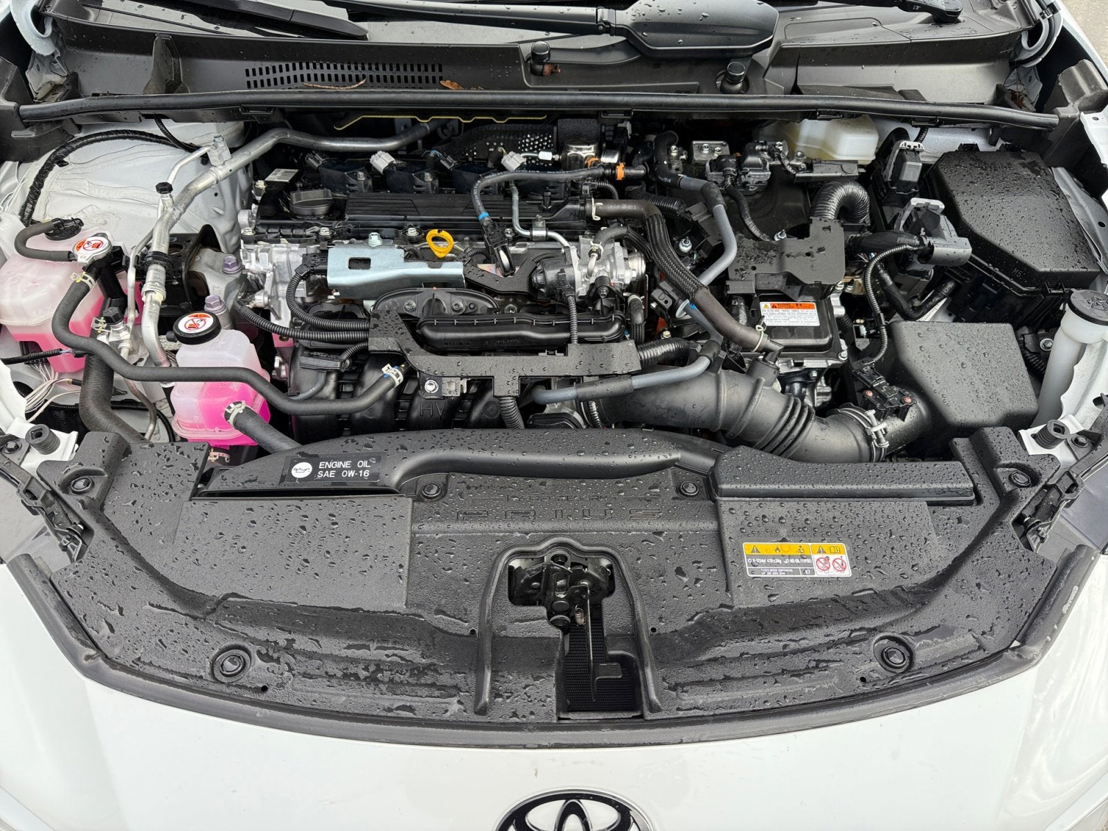 2025 Toyota Prius Nightshade