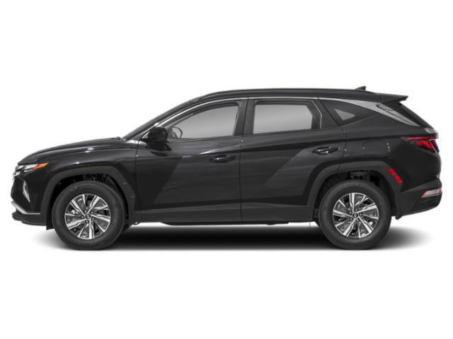 2024 Hyundai TUCSON HYBRID Blue